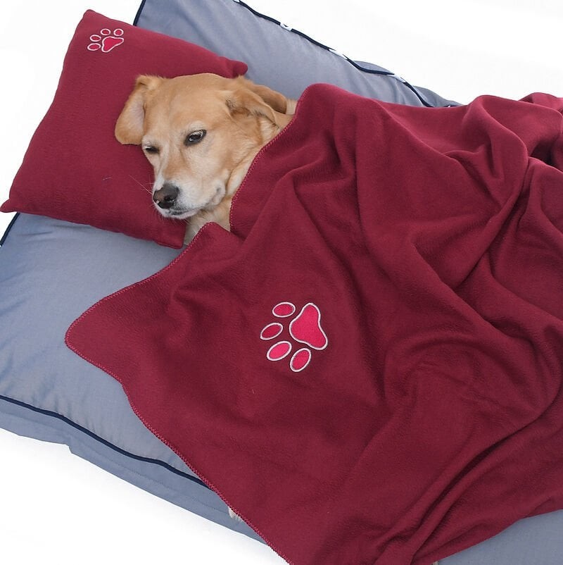 Polar Köpek Battaniyesi ve Yastık Takımı Ajayi - Bordo Large