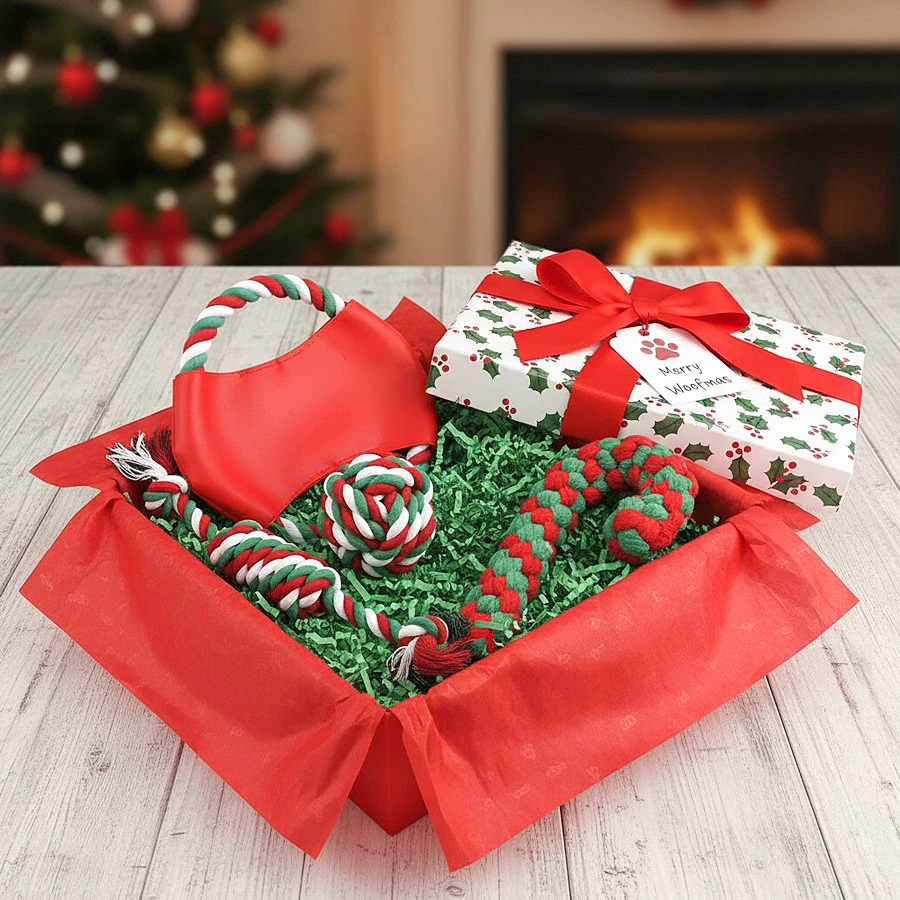 Viejo Köpek Oyuncak Yılbaşı Seti