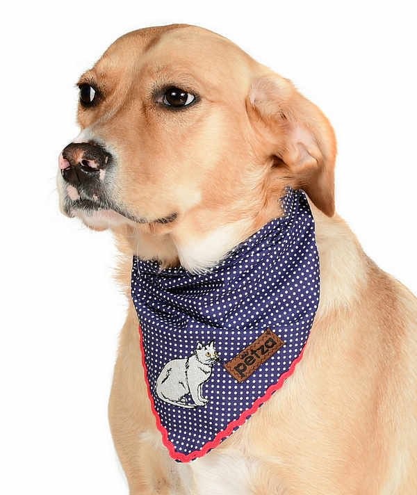 Köpek Bandana / Riot