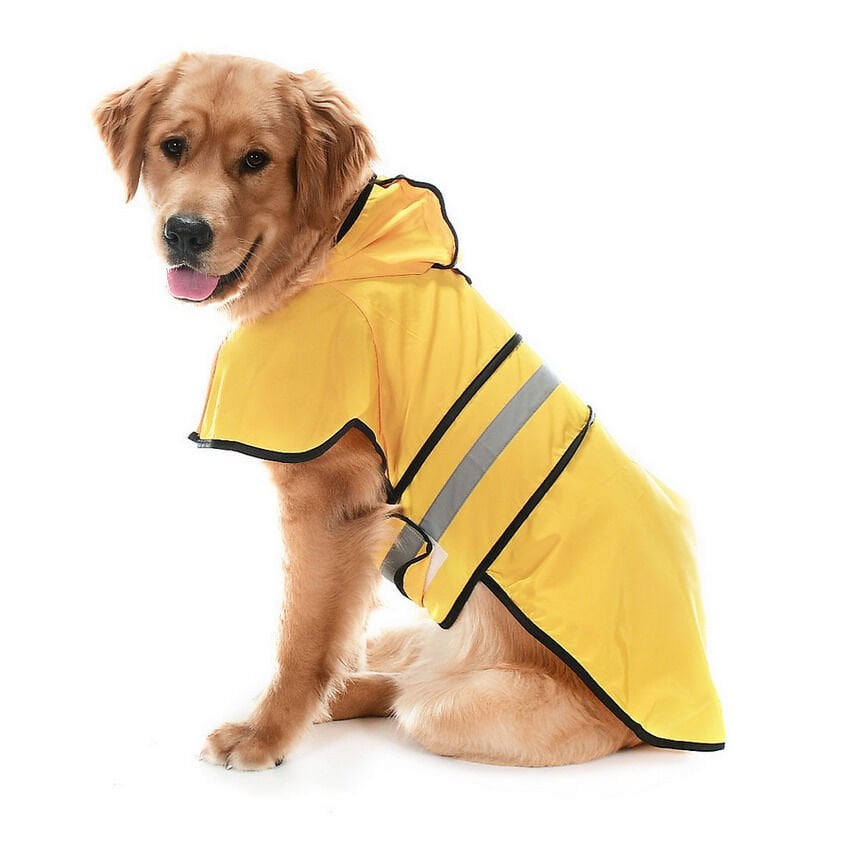Köpek Büyük ve Orta Irk Yağmurluk Ekon Sarı