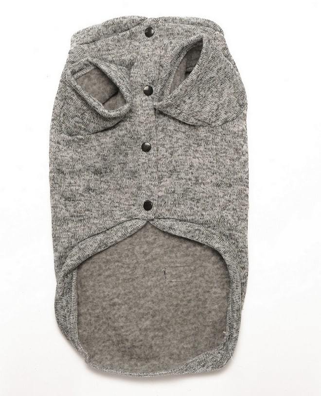 Küçük ve Orta Irk Köpek Kazak - Lalit Gri