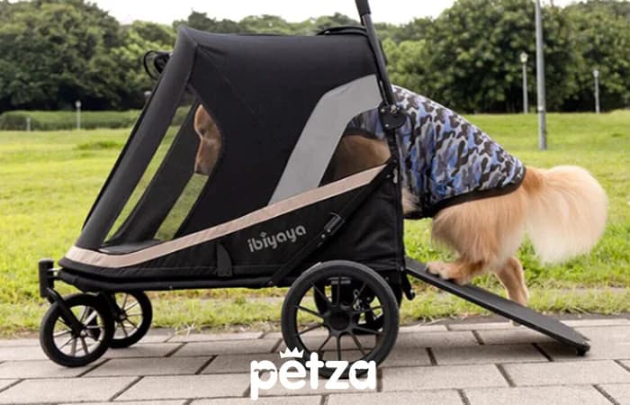 İbiyaya Grand Cruiser Köpek Puseti - Petza