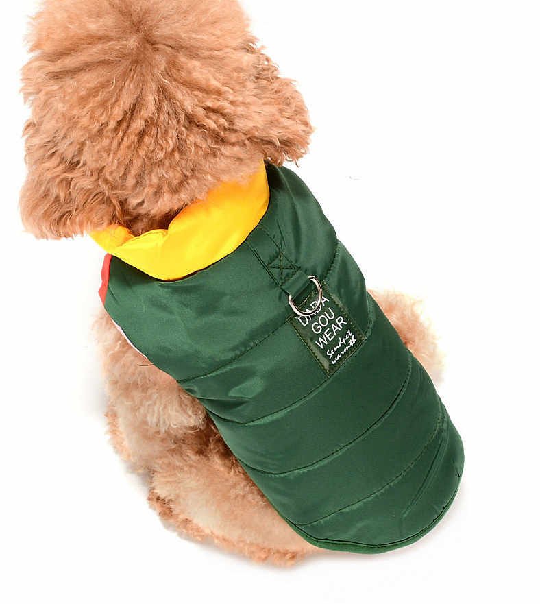 Küçük ve Orta Irk Köpek Mont Murpota Yeşil