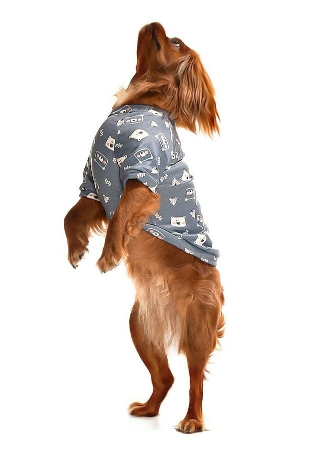 Küçük ve Orta Irk Köpek Sweater - Grube