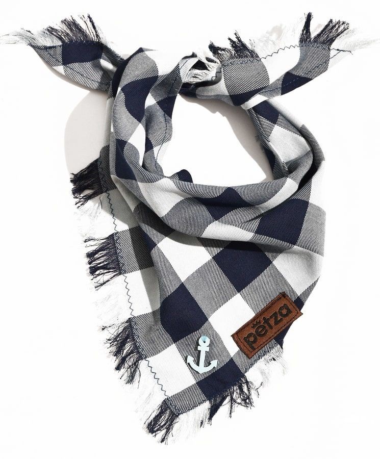 Köpek Bandana / Apal Mavi