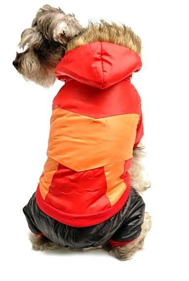 Paçalı Köpek Mont  - Party