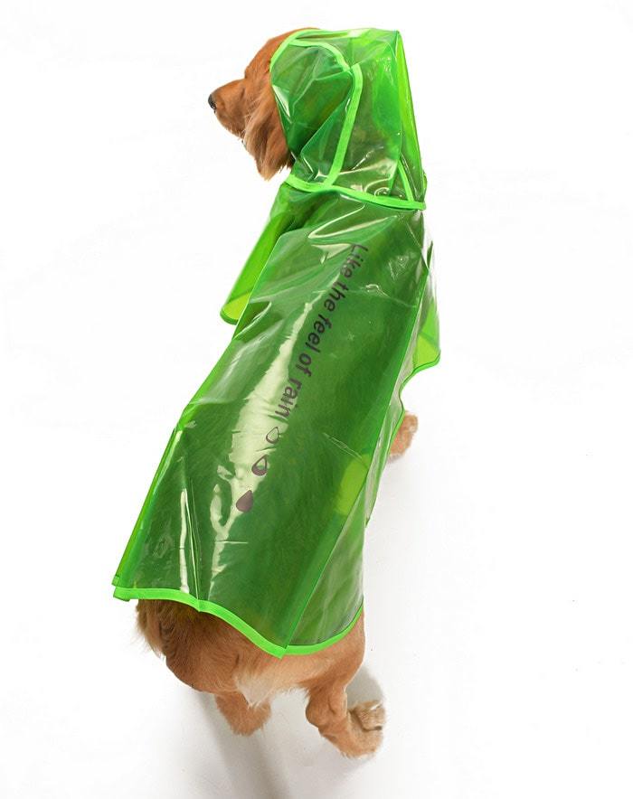 Köpek Büyük Irk Yağmurluk Otso Şeffaf Yeşil