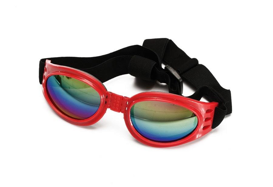 Orta ve Büyük Köpek Güneş Gözlüğü Royna Kırmızı