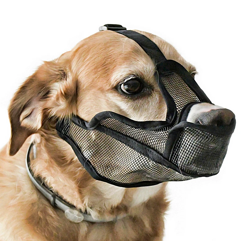 Köpek Ağızlık Yutu Ayarlanabilir