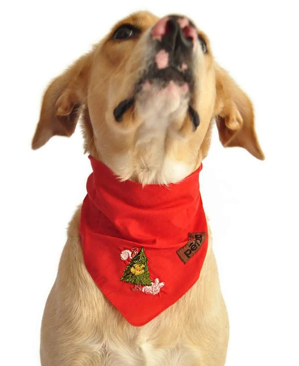 Köpek Bandana / Adsila