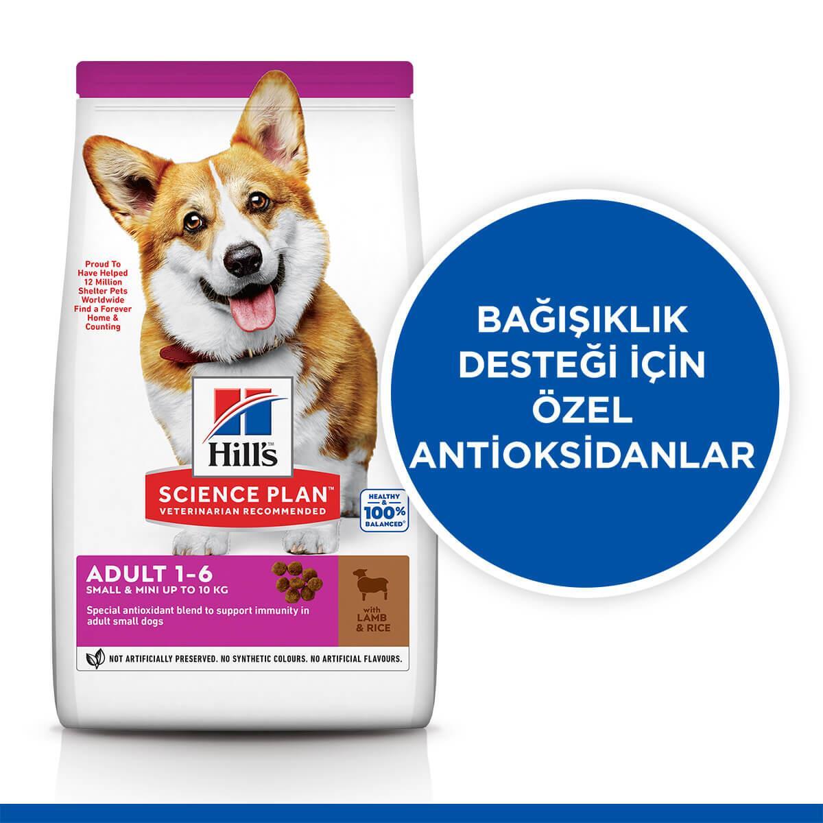 Hills Adult Small Mini Kuzulu Küçük Irk Köpek Maması 6Kg