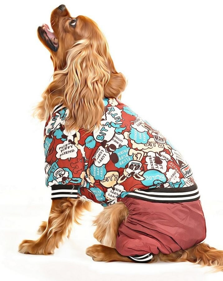 Küçük ve Orta Irk Köpek Paçalı Mont - Bado