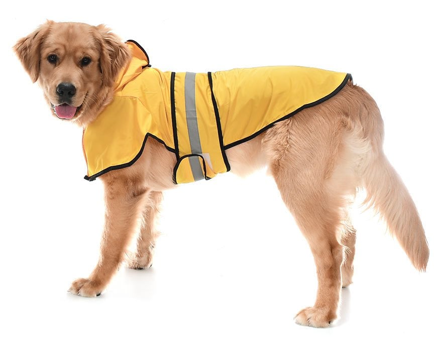 Köpek Büyük ve Orta Irk Yağmurluk Ekon Sarı