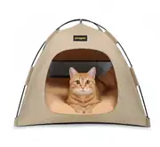 Kedi