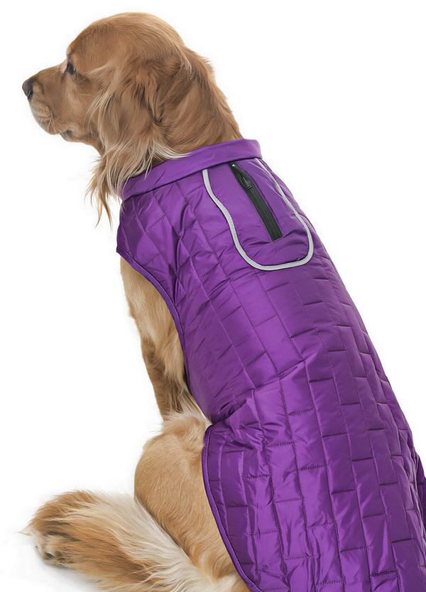 Orta ve Büyük Irk Köpek Mont - Kylo