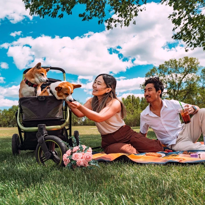 İbiyaya The Beast Orta ve Büyük Irk Köpek Puseti