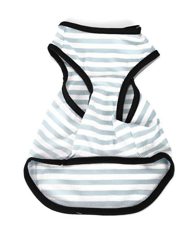 Küçük ve Orta Irk Köpek T-shirt Shaka Mavi