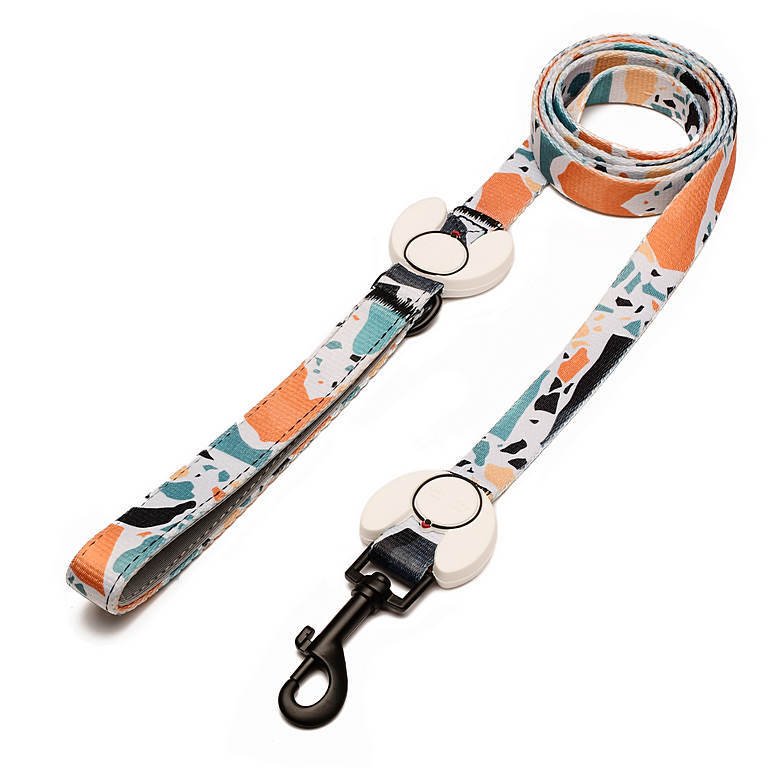 Köpek Gezdirme Tasması İnama