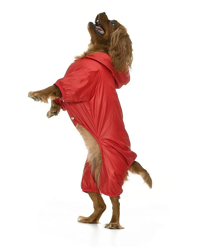 Küçük ve Orta Irk Köpek Paçalı Mont Hurit Kırmızı
