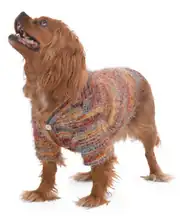 Köpek