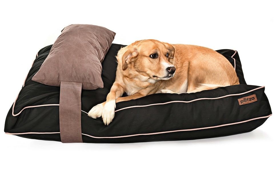 Köpek Yatağı ve Yastık Takımı - Spock Large