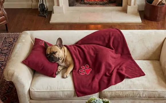 Petza Köpek Battaniyesi
