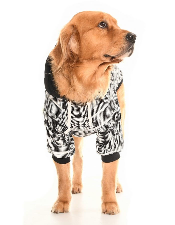 Orta ve Büyük Irk Sweatshirt - Astra