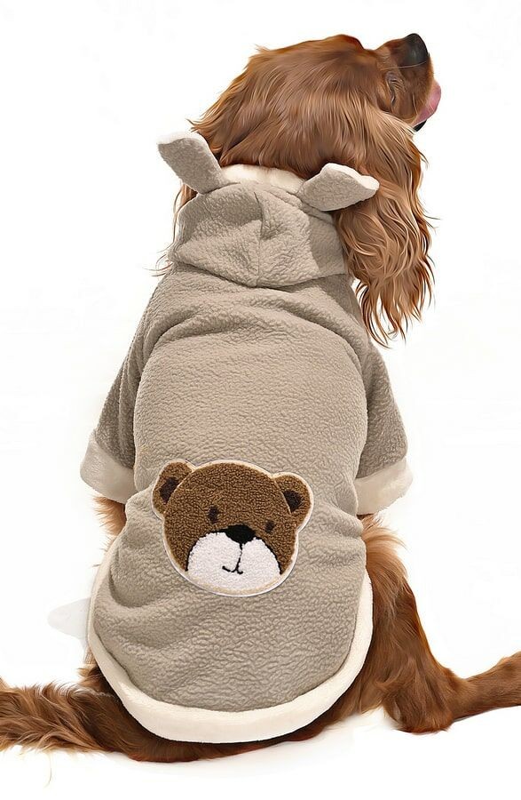 Küçük ve Orta Irk Köpek Polar Sweater - Vetu