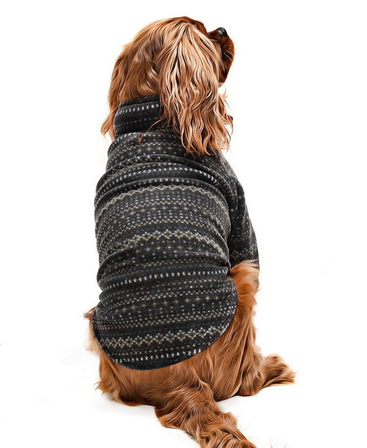 Küçük ve Orta Irk Köpek Polar Sweat - Leela