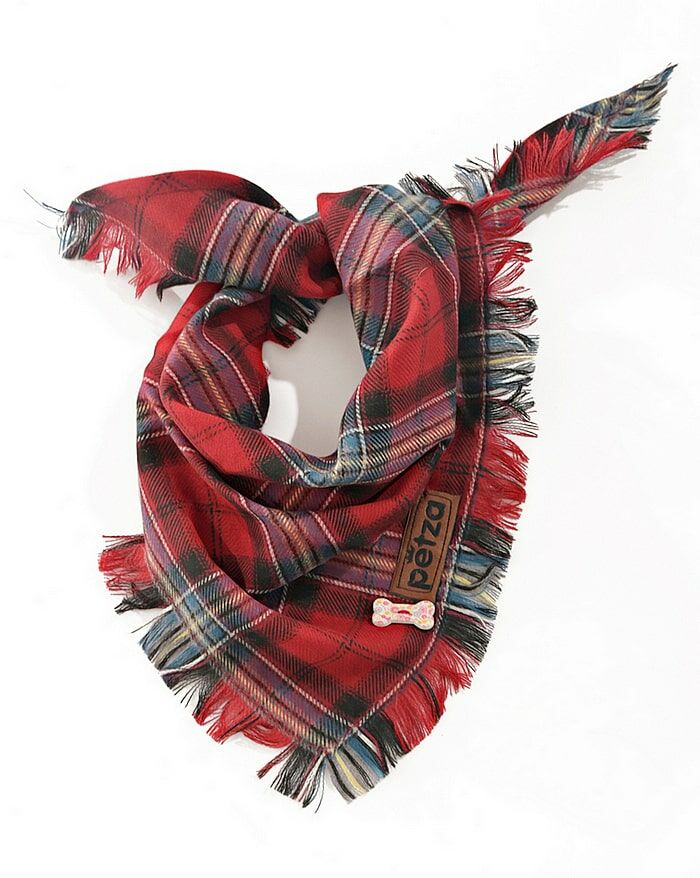 Köpek Bandana / Korowi