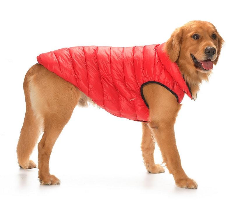 Büyük Irk Çift Taraflı Köpek Mont - Yuo Siyah & Kırmızı