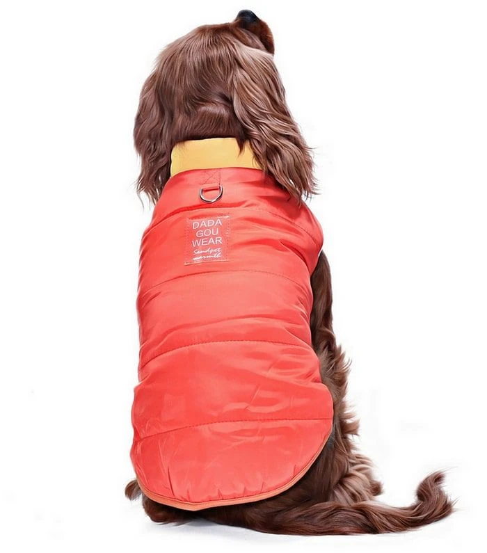 Küçük ve Orta Irk Köpek Mont Murpota Turuncu