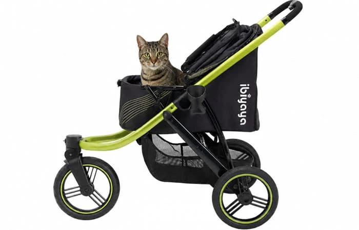 Ibiyaya The Beast Kedi Puseti Siyah - Petza