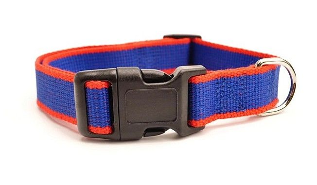 Indigo Boyun Tasması