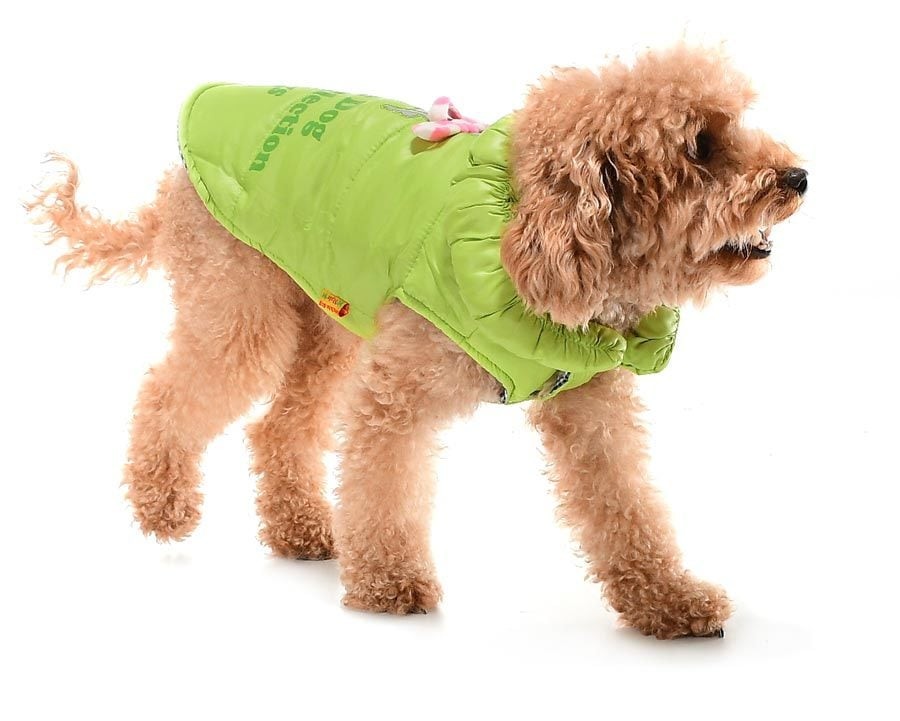 Köpek Mont - Fulla Yeşil - Köpek Kıyafeti