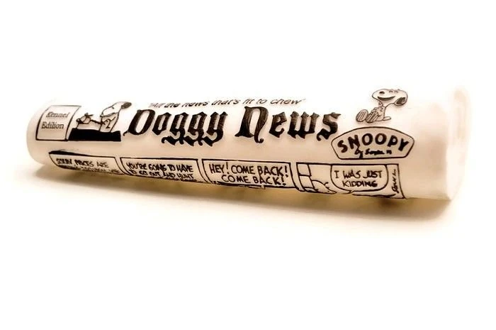 Vinil Köpek Oyuncak Doggy News