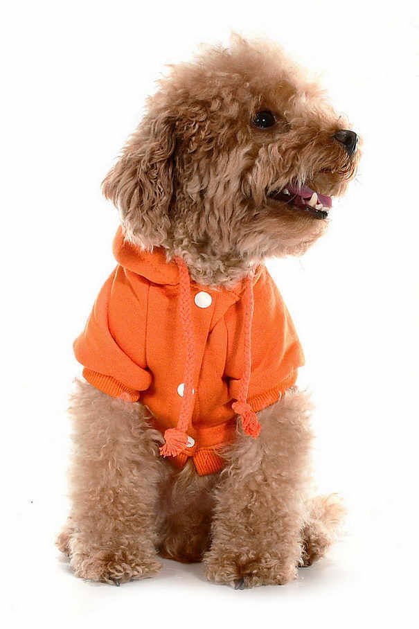 Küçük ve Orta Irk Köpek Sweatshirt - Marmit Turuncu - Köpek Kıyafeti