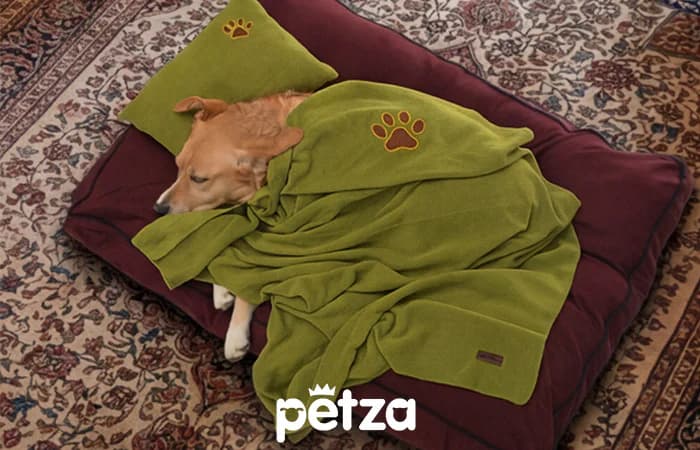 Madida Köpek Battaniyesi ve Yastık Takımı - Petza