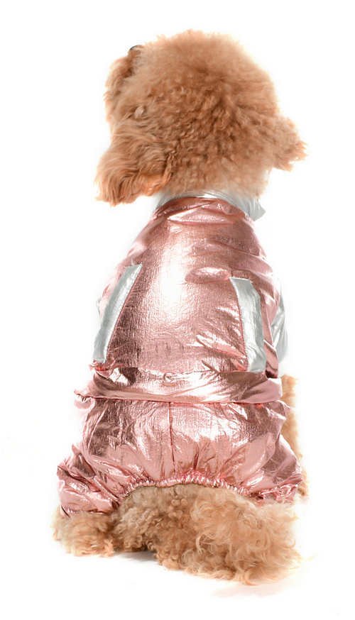 Küçük ve Orta Irk Köpek Paçalı Mont Norna