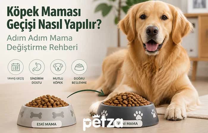 Köpek Maması Geçişi Nasıl Yapılır?