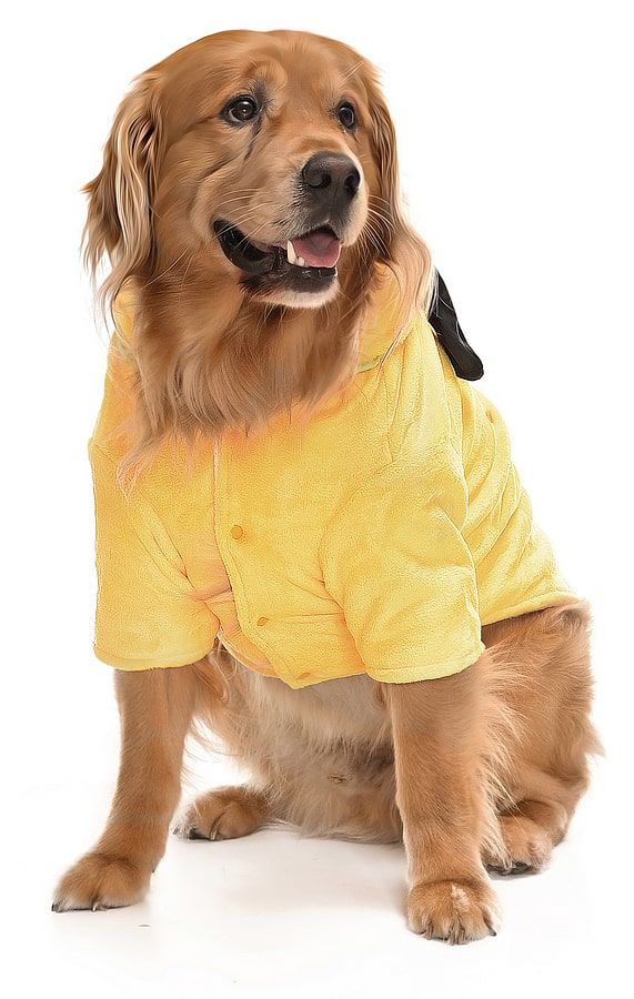 Orta ve Büyük Irk Köpek Polar Sweat - Keta