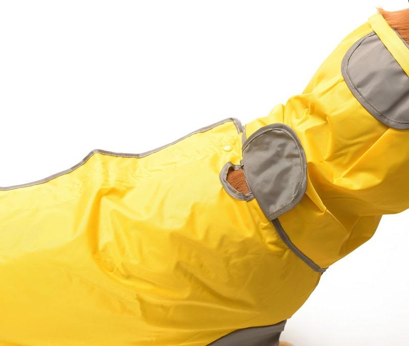 Matabor Dişi Köpek Yağmurluk