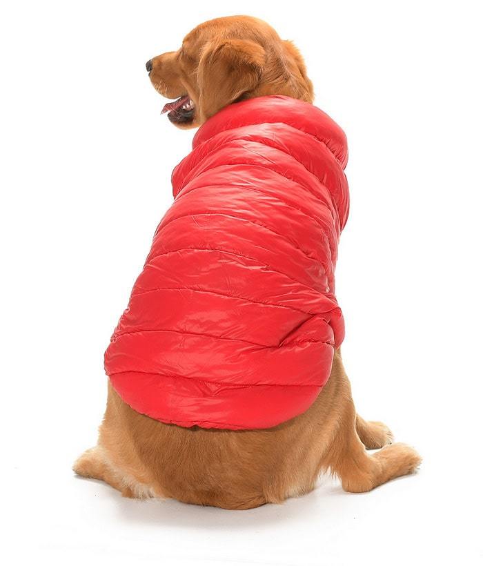 Büyük Irk Çift Taraflı Köpek Mont - Yuo Siyah & Kırmızı