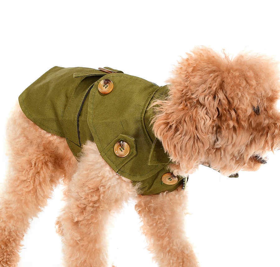 Küçük ve Orta Irk Köpek Trench Kot - Frody