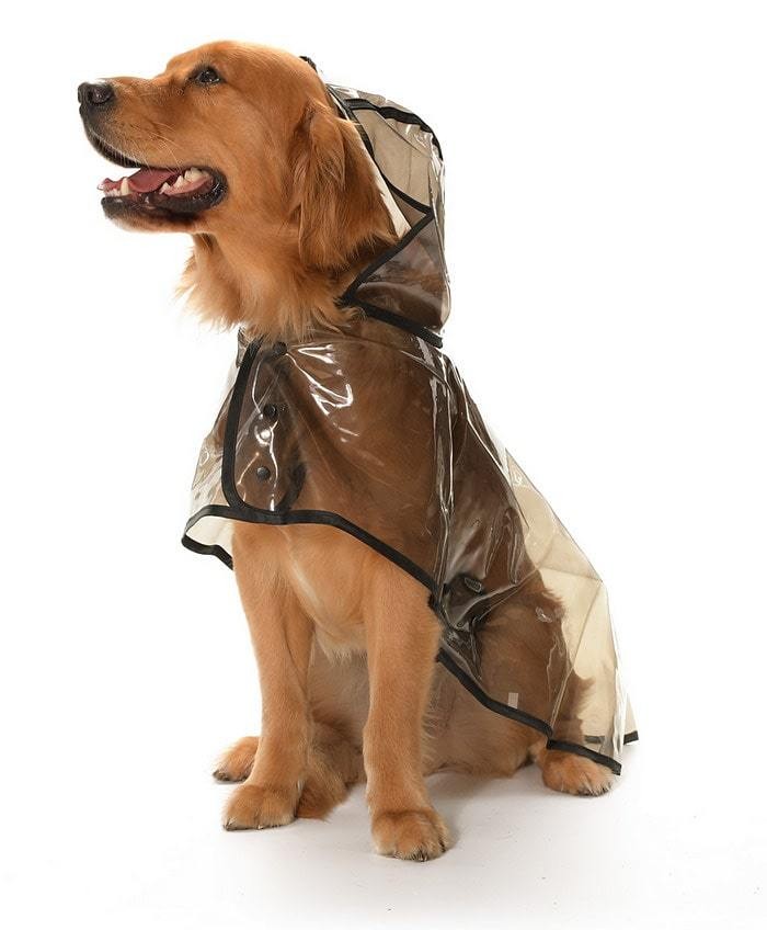 Köpek Büyük Irk Yağmurluk Otso Şeffaf Siyah