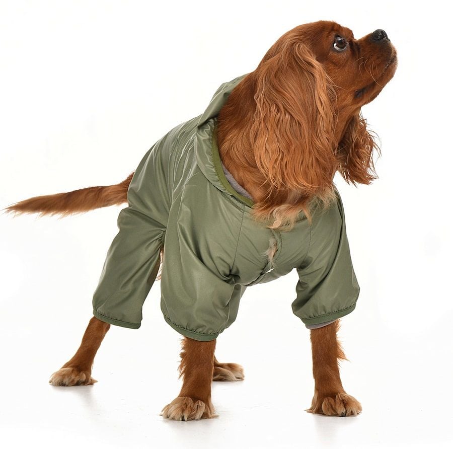 Küçük ve Orta Irk Köpek Paçalı Mont Hurit Yeşil