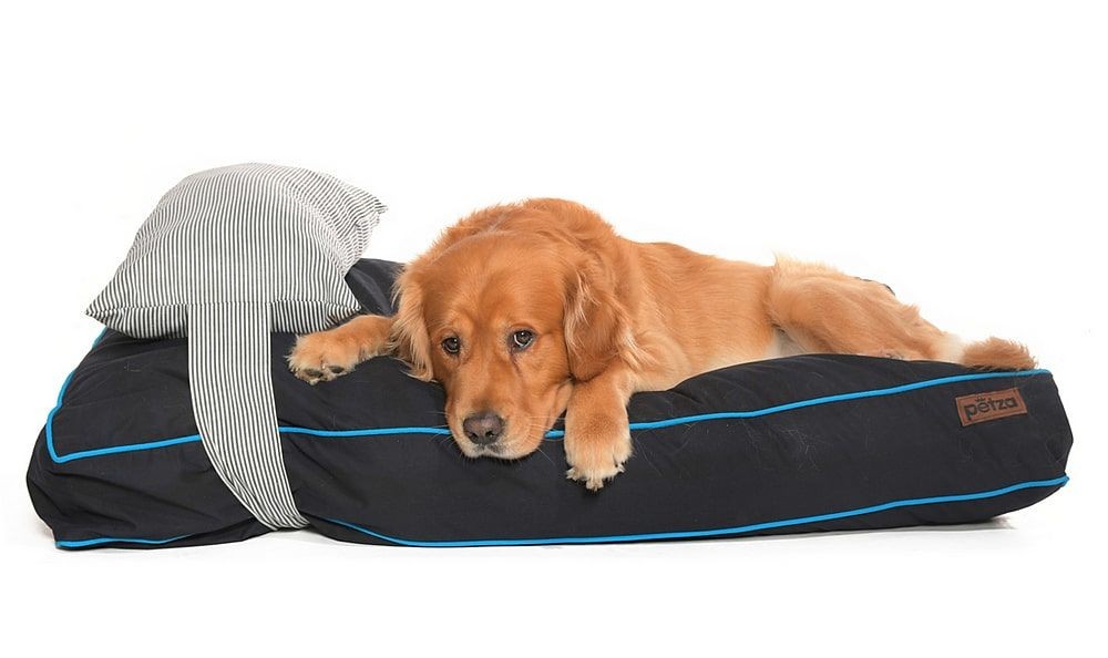 Köpek Yatağı ve Yastık Takımı - Matondo Medium