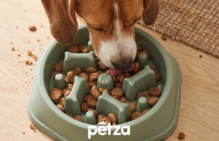 Masego Slow Eater Köpek Mama Kabı - Petza