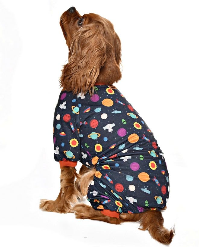 Küçük ve Orta Irk Köpek Pijama Tulum - Vanya - Köpek Kıyafeti