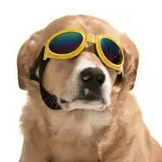 Köpek